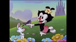 Tiny Toons & Animaniacs mocking Disney Compilation