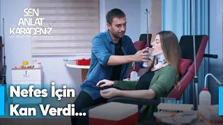 Mercan, Nefes için kan veriyor! | Sen Anlat Karadeniz Yeniden...