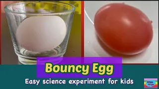 #science Easy DIY Bouncy Egg Experiment for kids to do at home || Color Changing Egg