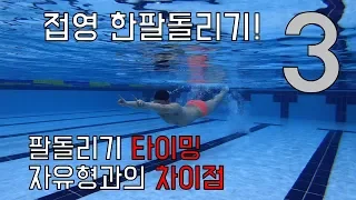 [물탱크] 접영 한팔 날아오르기 포인트레슨 START!! - 접영 3편