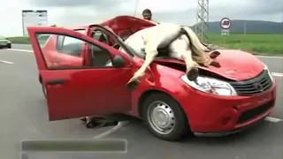 Best of Russian Driving Fails 2023 #4 ||  Total Idiots In Cars 2023 | CAR CRASH COMPILATION