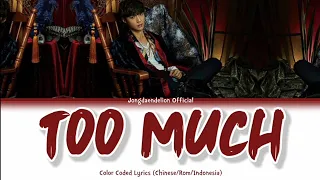 Lay (레이/张艺兴) - Too Much (太多) Color Coded Lyrics (Chinese/Pinyin/Indonesia)