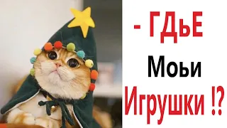 Приколы! ГДЕ МОИ НОВОГОДНИЕ ИГРУШКИ?!! Смешные видео от – Доми шоу!