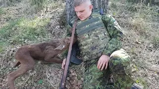 Лосёнок подкрался к вооруженному солдату. То, что было после просто невероятно