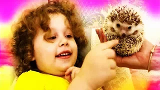 Влог ВИДЕО ДЛЯ ДЕТЕЙ !КУПАЕМ ЕЖИКА ! АРИШКА РУКОВОДИТ ПРОЦЕССОМ !!  Bathe the Hedgehog.