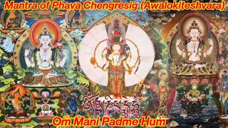 Om Mani Padme Hum | Phava Cheng-Re-Sig Awalokiteshvara Healing Mantra for Purity & Meditation Chants