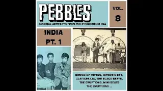 Various ‎– Pebbles Vol. 8, India Pt. 1, Original Artifacts From The Psychedelic Era 60s Garage Rock