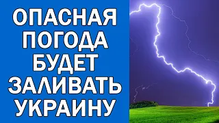 ПОГОДА НА 4 ИЮНЯ : ПОГОДА НА ЗАВТРА