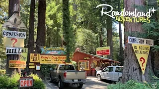 Confusion Hill - The real life Gravity Falls! Roadside Attraction on the Redwood Highway