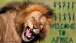 🦁 W E L C O M E  to Africa (Chillout African Music - mix by Billy Esteban for Cafe De Anatolia)