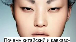 Почему китайский и кавказские языки родственны