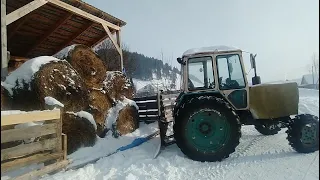 Возим сено на #Т-40АМ с кабиной #ЮМЗ ! С Наступающим, друзья!!!