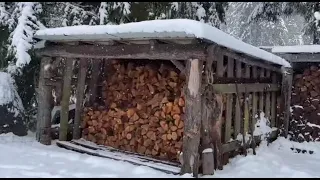 Firewood - all about seasoning- wood shed design. Best time to fall, buck, split
