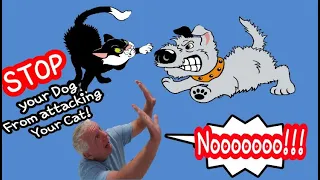 STOP Dogs Attacking Cats!!