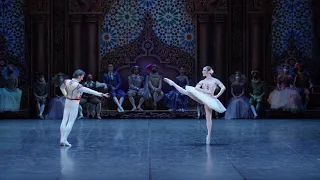 DON QUIXOTE | Trailer | Staatsballett Berlin