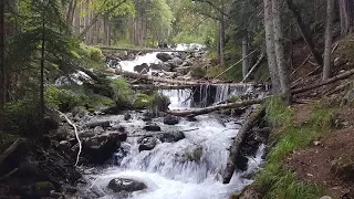 Архыз, водопад на реке Белой, поход к Белому водопаду, август 2017. Идем к водопаду...