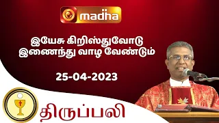 25 April 2023 Holy Mass in Tamil 06:00 PM (Evening Mass) | Madha TV