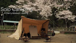 Solo Camping in Japan.Spring is here.Cherry-blossom viewing.【Jimny】