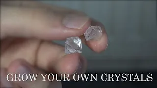 Grow Crystals of Potassium Alum at Home!