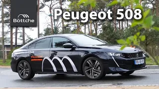 Der neue Peugeot 508 - was hat eine "Katzenpfote" damit zu tun? | Ihr Autohaus Böttche