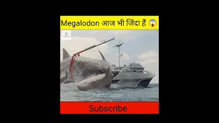 Megalodon आज भी जिंदा हैं | World's Largest Shark - Still Alive? #shorts #megalodon #ocean #mystery