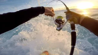 Smoked by Solid Yellowtail Kingfish off the Rocks / LBG Fishing