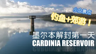 墨尔本解封第一天，小众钓鱼郊游景点看看吧 Cardinia Reservoir Park fishing and view tour