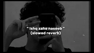 Ishq Zahe Naseeb ( SLOWED REVERB)