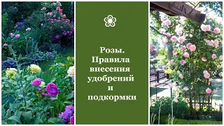 ❀ Розы. Правила внесения удобрений и подкормки