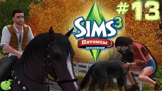 The Sims 3 Питомцы #13 Беременная