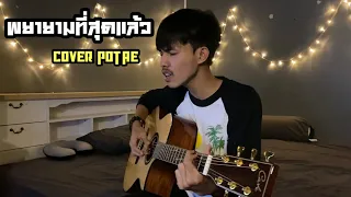 พยายามที่สุดแล้ว - เชน มะยม [COVER POTAE]