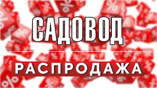 РАСПРОДАЖА НА САДОВОДЕ ЧАСТЬ 7