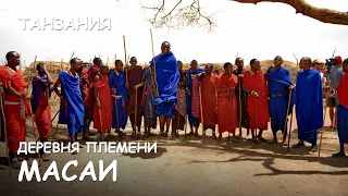 Мир Приключений - Необычный танец племени Масаи. Деревня Масаи. Серенгети. Танзания.