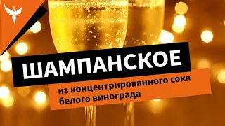 "Шампанское" из концентрированного сока белого винограда. Рецепт приготовления в домашних условиях