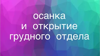 Мини комплекс на осанку и открытия грудного отдела