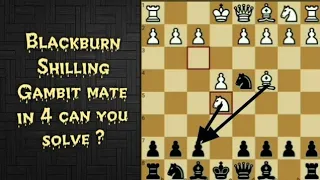 Blackburn Shilling Gambit / Kostic Gambit / Italian Game/