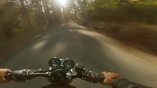 Afternoon Motorcycle Ride Down A Washington Backroad // Triumph Speed Twin 1200 [4K]