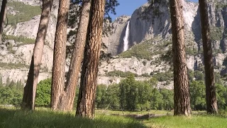 Soundscapes - Yosemite Nature Notes - Episode 29