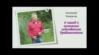 Анатолий Некрасов 5 шагов к своему предназначению