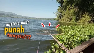 GAK NYANGKA || TERNYATA MASIH BANYAK JENIS IKAN INI