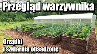 Warzywa posadzone. Przegląd warzywnika i szklarni. Wysiane i posadzone to co chcieliśmy.