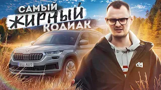 Skoda Kodiaq в чем отличие от базы? Шкода как так?