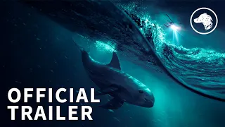 Sea of Shadows - Official UK Trailer