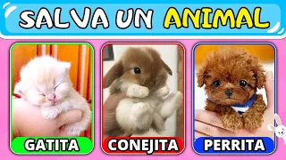 ¡Salva UN Animal! 🐱🐶🐰 - Elige Uno, Patea Dos Animales