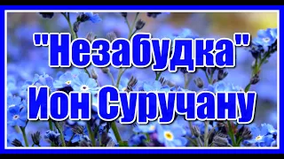 "Незабудка" Песни прошлых лет. Ностальгия. Очень красивая песня! Послушайте! Поёт Ион Суручану.