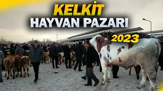 KELKİT HAYVAN PAZARINDA ''2023'' FİYATLARI | PAZARLIKLAR EFSANE !!!