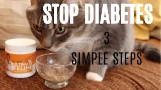 Diabetes No More? Stop Insulin With These Simple Steps