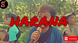 HARANA (Scammer)|Sipatids TV