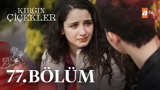 Kırgın Çiçekler 77. Bölüm - atv