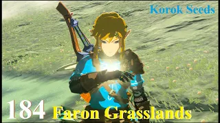 Zelda: TOTK - Faron Grasslands korok seeds (Shrine Quests, Cave). Part 1 of 2